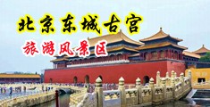男女屌中国北京-东城古宫旅游风景区